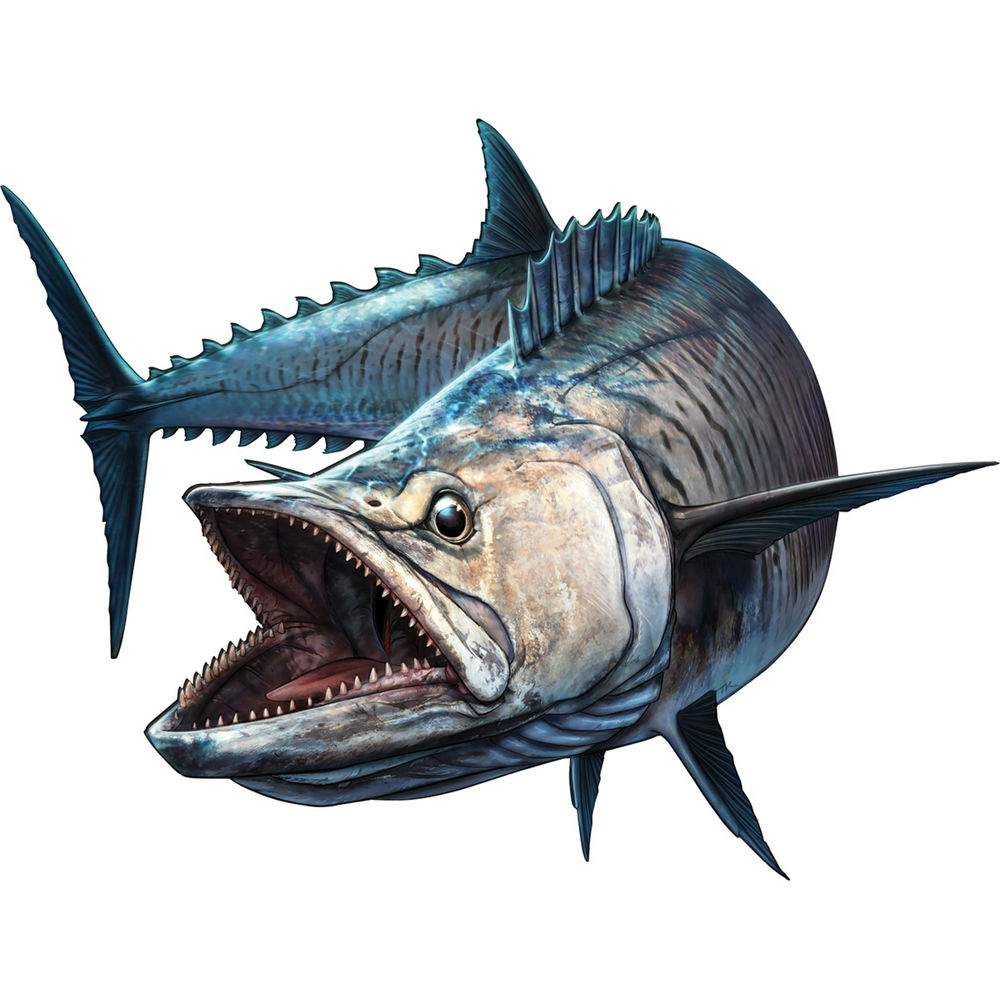 Cá Mập Cá Câu Cá Cần Ốp Lưng X - đánh giá và giá Bass Fishing Lure